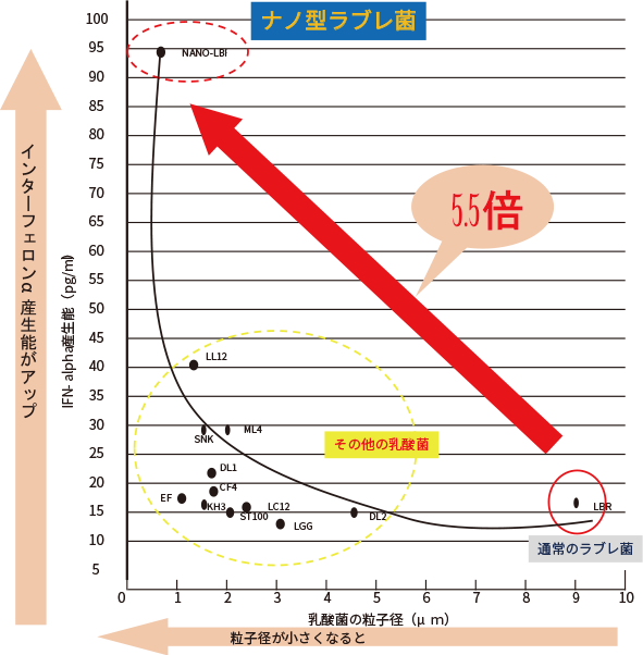 ナノ型ラブレ菌のインターフェロンa産生能は通常のラブレ菌の5.5倍！