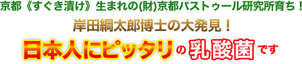 京都すぐき漬け生まれの京都バストゥール研究所育ち！ 岸田綱太郎博士の大発見！日本人にピッタリの乳酸菌です。